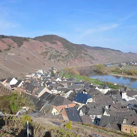 Apartmán Weingut Rebenhof Ürzig