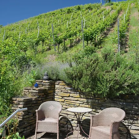 Weingut Rebenhof