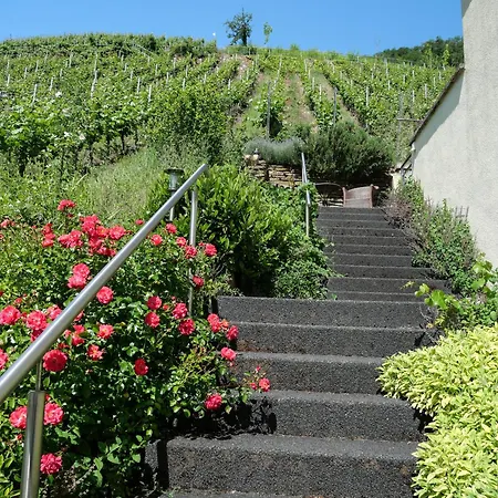 Weingut Rebenhof * Ürzig