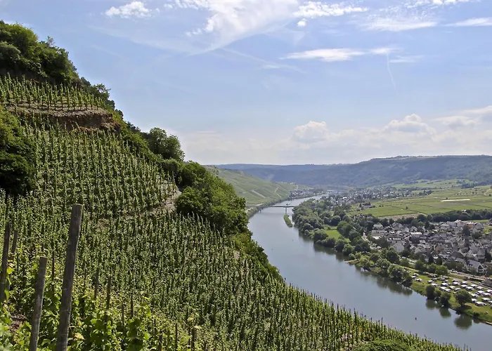 Weingut Rebenhof * Ürzig