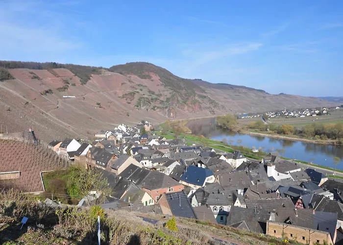 Apartment Weingut Rebenhof Uerzig